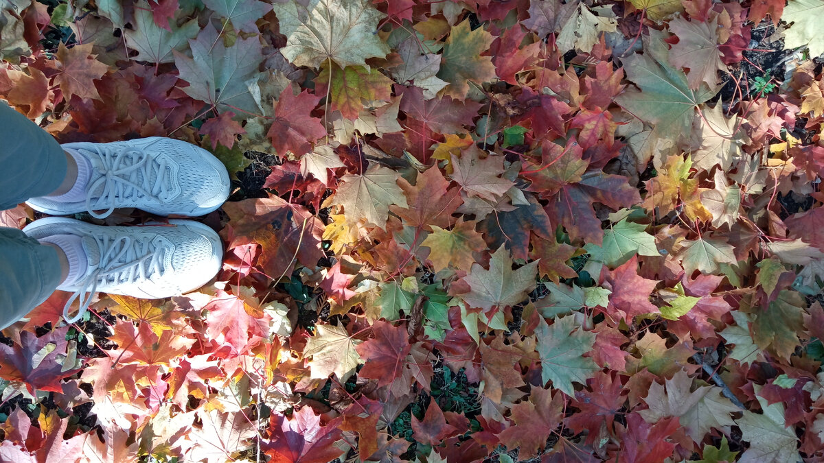 Правда же, красиво?