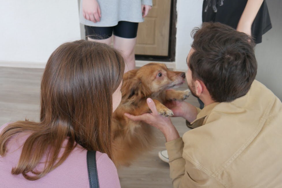    Несмотря на тяжелую судьбу, Людовик тянется к людям Арина Полтанова