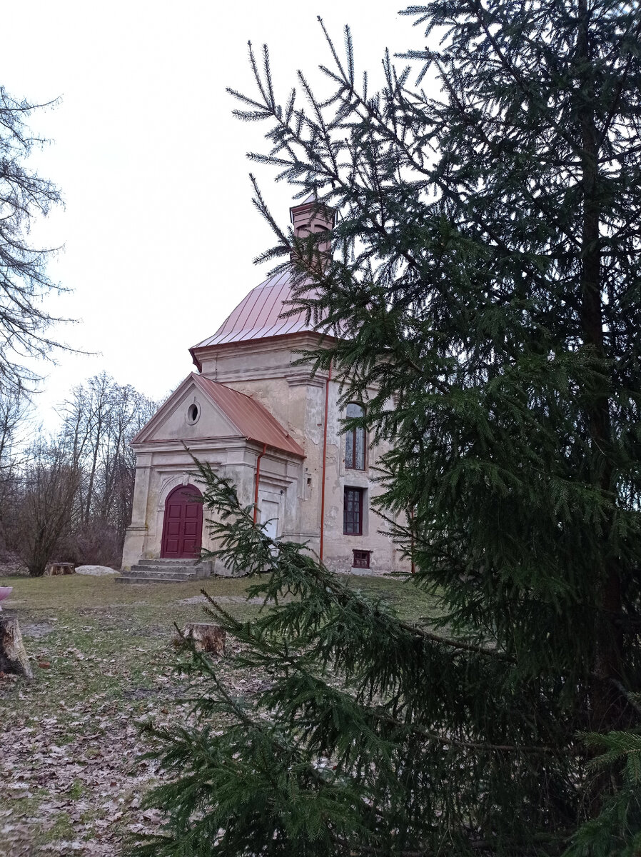 Первое упоминание относится к 1498 г., когда конюший Сенько Дмитрович получил от пинской княгини Марьи Семеновой четыре дворища в Дубом. По привилею князя Федора Ивановича Ярославовича, Дубой в 1503 г. становится владением Карповичей. В 1558 г. «Дубоя» указывается в связи с определением границ королевских пущ. В 1566 г. двор Дубой по привилею короля Сигизмунда Августа перешёл Семёну и Дмитрию Веренич-Стаховским герба Огоньчик. Видимо, у них имение купил Сасинь Иванович. А уже в 1596 году владельцем Дубого стал богатый шляхтич Ян Полоз, основавший здесь огромный парк с замком в центре. В 1598 г. имением владел Ян Попов, затем — Огинские, Радзивиллы. В 1635 или в 1638 г. Альбрехт Радзивилл, канцлер великий литовский, староста пинский, владелец Альбрехтова, подарил имение с монастырем пинским иезуитам. Князь был преданным католиком, не признавал иноверцев, основал костел в Алыке, иезуитский коллегиум с костелом в формах позднего ренессанса и барокко в Пинске. Во время обучения в коллегиуме в орден иезуитов вступает в 1748 г. Адам Нарушевич (1733—1796) и некоторое время живет в их дубойской резиденции. 
Дубойское имение иезуиты предназначили для летней резиденции своего ордена. В старом замке Полозов разместился приют для детей-сирот, а рядом на искусственном острове был построен первый костёл-каплица. Ухоженность парка, содержание усадьбы заставляло восхищаться современников. Дворец, по мнению исследователя дворцово-парковых ансамблей Р. Афтанази, был сооружён иезуитами в первой половине 18 века и ещё некоторое время спустя достраивался.

Вторая половина XVIII века ознаменовалась для Дубого новым владельцем. Им стал гетман Великого Княжества Литовского, граф Михаил Казимир Огинский (1730—1800), один из интереснейших людей своего времени. По его инициативе и на его средства был построен канал, носящий сегодня его имя. Видимо, кроме увлечения изящными искусствами, граф Огинский неплохо разбирался и в гидротехнике. Поэтому и в Дубом он создал оригинальную, нигде в Беларуси не повторяющуюся водную систему.

После ликвидации иезуитского ордена (1773) Дубое купили Куженецкие герба Куженец. Первым владельцем был, видимо, Юзеф, маршалок Пинского повета. Представители этого рода владели имением около столетия. Среди них наиболее известен Игнатий, каштелян витебский, посол на сейм в 1775 г., кавалер ордена св. Станислава, депутат от местной шляхты на коронацию Павла I в 1797 г. Был женат на богатой вдове Барбаре с Яблоновских, владевшей после смерти мужа Антония Островского, полковника, Дрогичинским графством, включающим имение Дрогичин, фольварки Соха, Ровины, Островичи. Их дочь Клотильда в 1811 г. на месте бывшего монастыря оплатила строительство церкви Рождества Богородицы в формах классицизма. Здание, состоящее из центрического восьмигранного основного объема, прямоугольных в плане апсиды и притвора, с более поздней росписью, выполненной в технике гризайль, дошло до наших дней.

Во времена Куженецких Дубое посещал в 1784 г. король Станислав Август. Сопровождал короля епископ Адам Нарушевич, уроженец Пинщины, историк, поэт, первым прославивший Пинщину в своих произведениях. Не случайно последний король Речи Посполитой посетил Дубое. Именно здесь прошли детские годы Адама Нарушевича.

Последние потомки Куженецких прослыли безбожниками и гуляками. У местного населения сложилась о них легенда. Один из Куженецких устроил как-то раз в Великую Пятницу бал. Однако, когда приглашённые уселись за стол, раздался грохот, провалился пол и земля поглотила всех пирующих. С тех пор, если кто-нибудь спрячется в парке в ночь с Великой Пятницы на Великую Субботу, то мог бы увидеть подъезжающие кареты, бьющий залпом фейерверк и нарядных гостей. Можно было увидеть иллюминацию в окнах дома, услышать музыку и песни до тех пор, пока в полночь всё это с грохотом не провалится, а дом погрузится в полную тьму и тишину.

Затем владельцы имения также часто менялись. В 1870 г. с высочайшего соизволения в виде награждения за службу по купчей крепости оно перешло Платону Спасскому, действительному статскому советнику. Земельные угодья имения этого периода составляли 6817 десятин. Имелись винокуренный и кирпичные заводы, воловая мельница. По купчей крепости 1885 г. имение от статского советника Андрея Андреевича Спиридонова переходит к купцу, промышленнику из Варшавы Ивану Карлу Шленкеру. Кроме того, Иван Карл владел имениями и заводами на Украине. В 1904 г. по духовному завещанию Дубое становится собственностью его дочери Марии Анны Выджджины, После первой мировой войны Мария подарила усадьбу и 100 га земли сельскохозяйственной школе с рыбным хозяйством. Школа носила имя её рано ушедшей из жизни дочери Янины и просуществовала до 1939 г. Мария была последней владелицей имения и в 1928 г. провела его землеустройство. Предвоенным директором школы был P. Прусский, известный польский селекционер. В 1980 г. он посетил усадьбу.