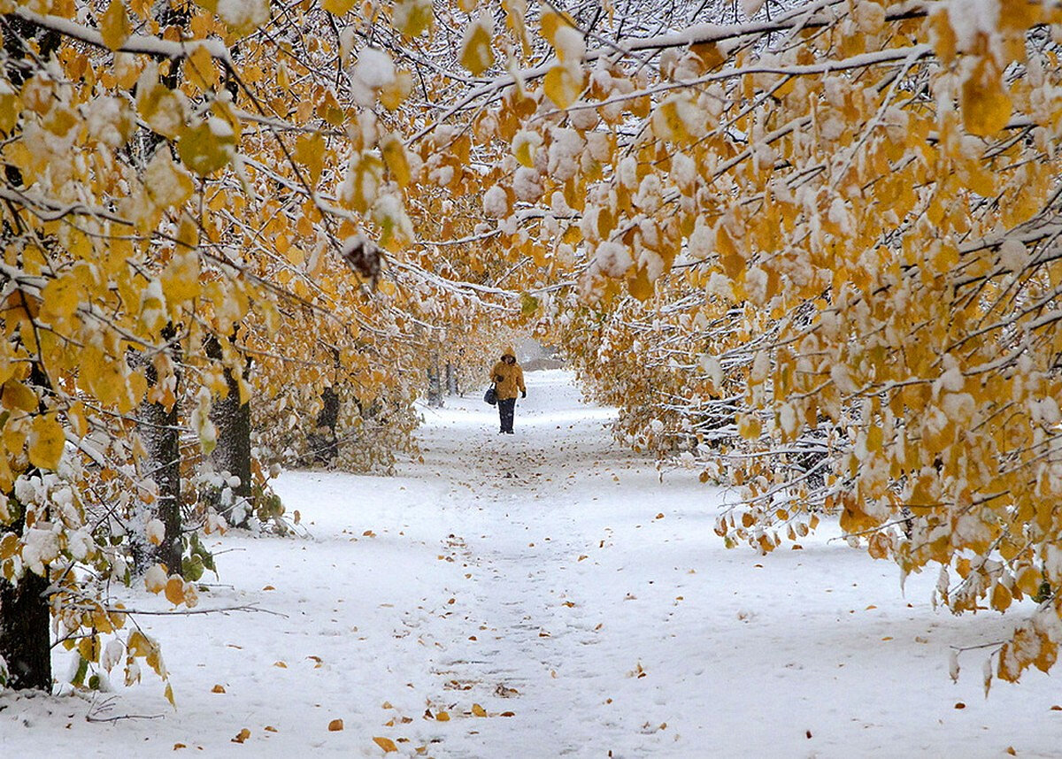 фото начало зимы