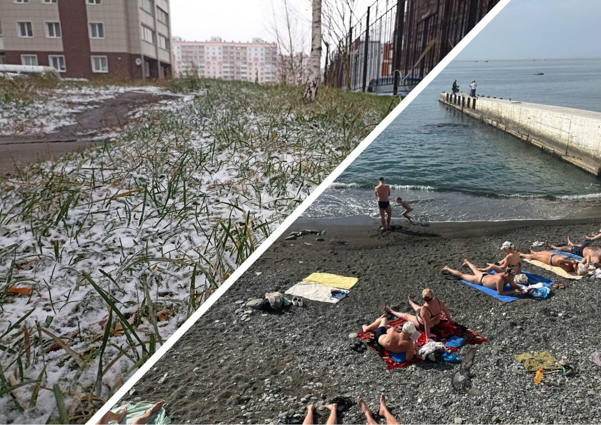 Фото: "МК в Новосибирске" и Анастасия Гайдар / коллаж автора