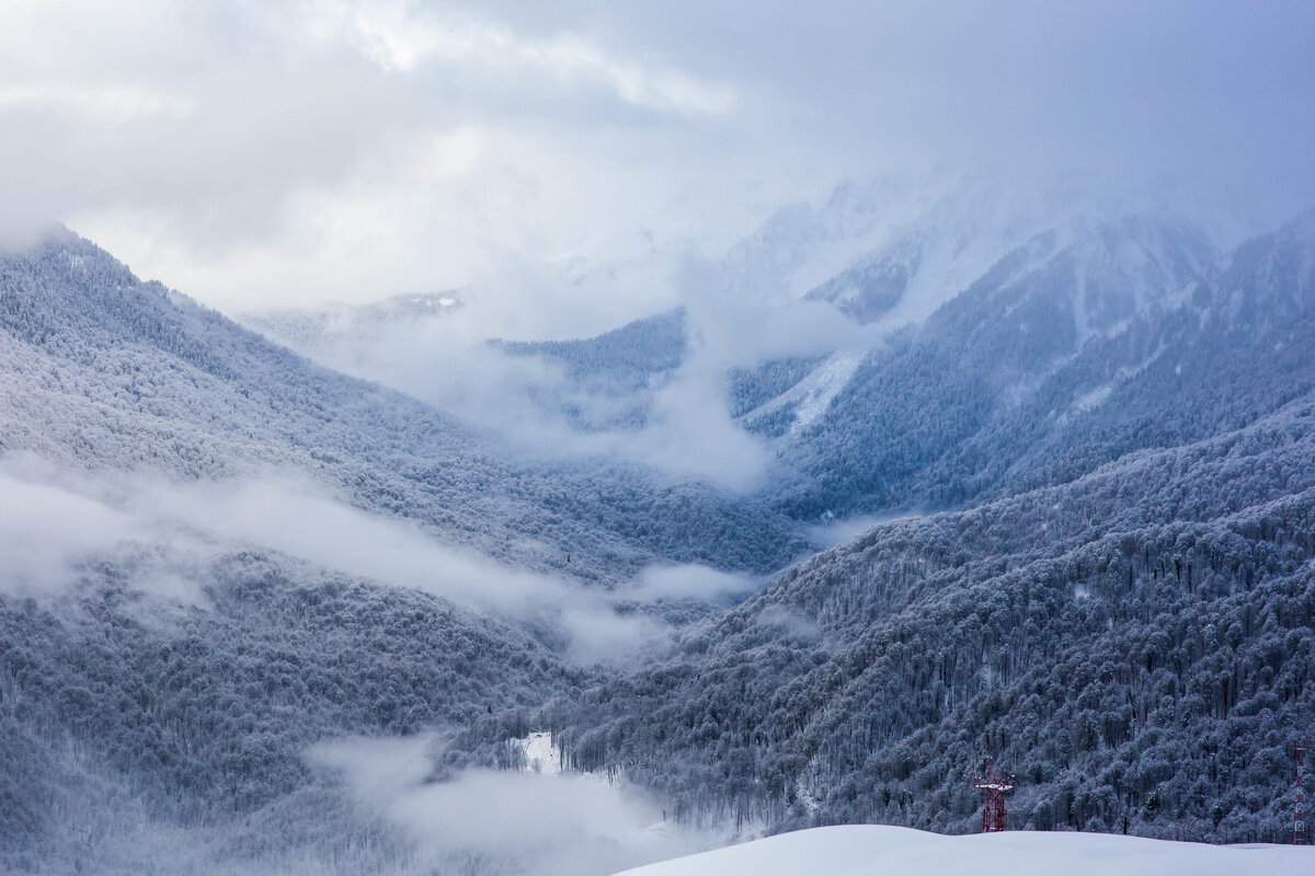Автор: Yuri Shornikov, https://www.flickr.com/photos/sh4man/