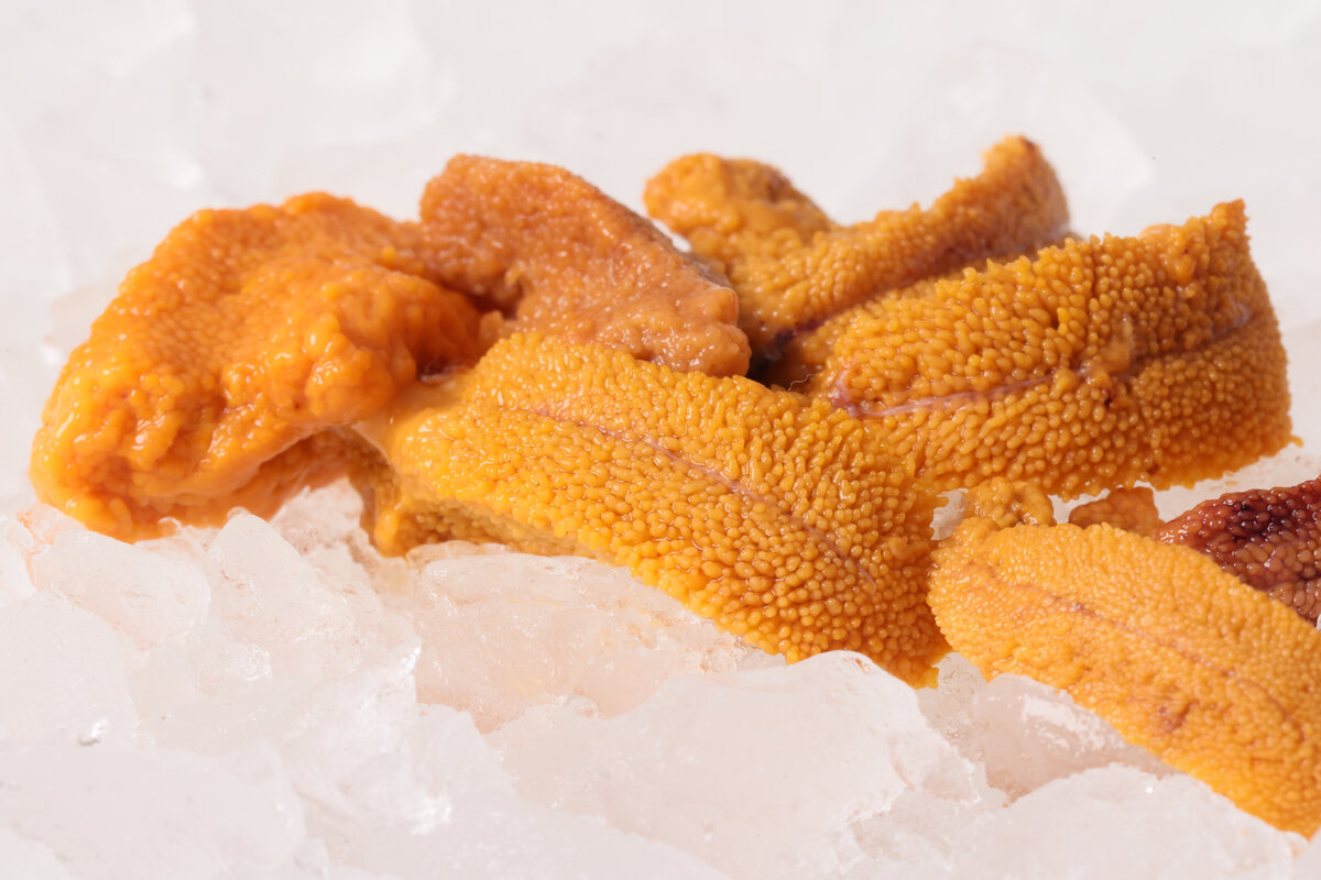 Икра морского ежа на льду