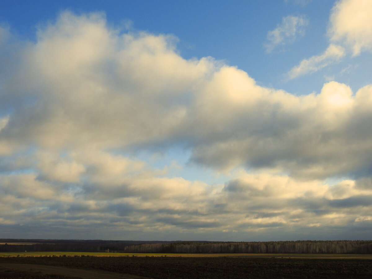 Уральский октябрь, скоро пойдет снег.