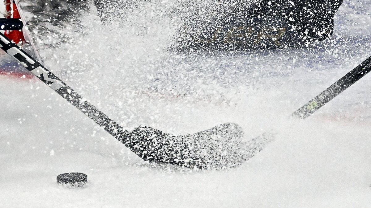    В Москве внезапно скончался известный хоккеист: причина смерти известна© РИА Новости | Владимир Федоренко