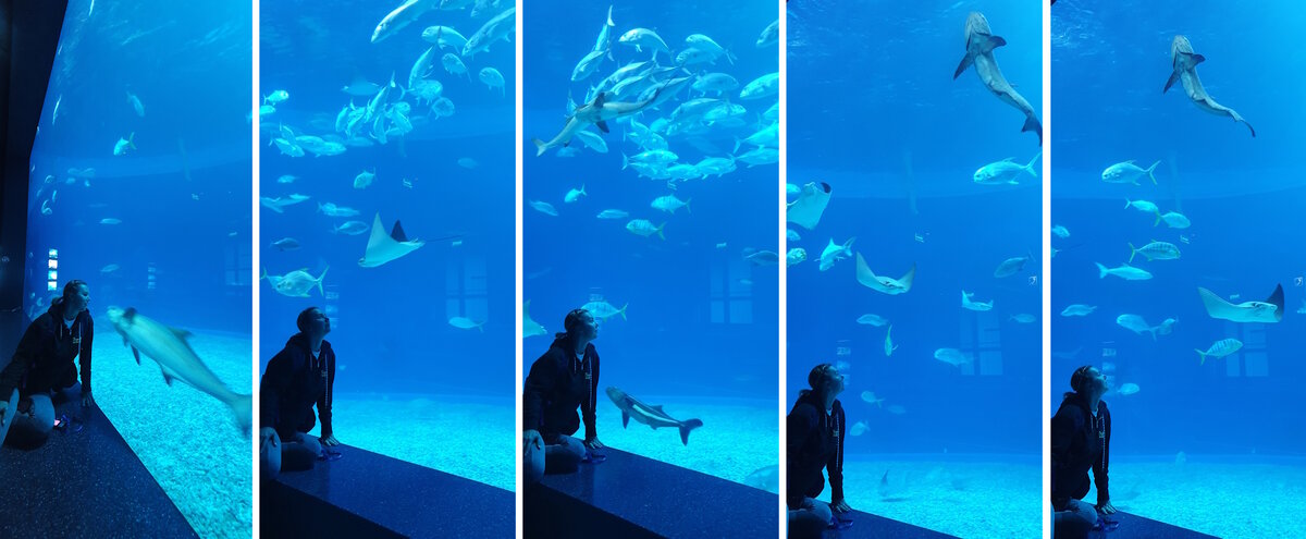 Супер-аквариум “Океанская бездна”