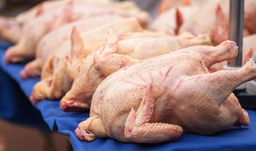 Почему дорожает куриное мясо в России - мнение экономиста