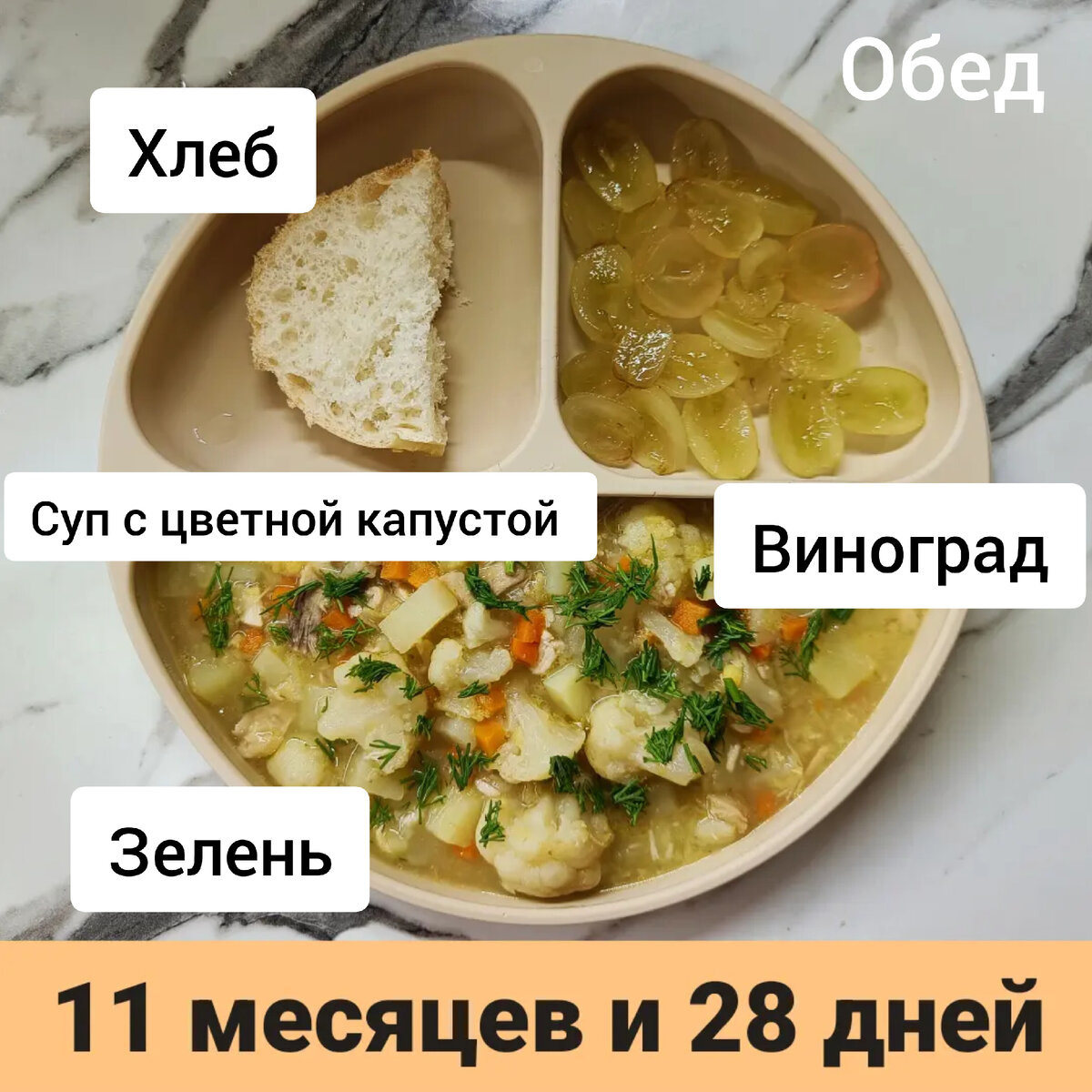 Пример тарелки в 11 месяцев 