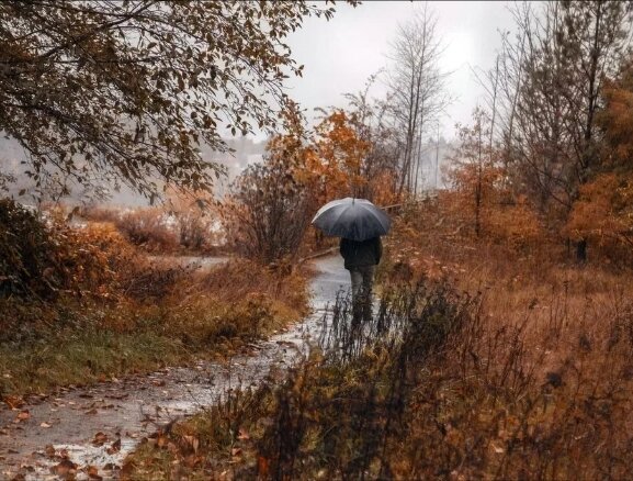 Время бдительности... 