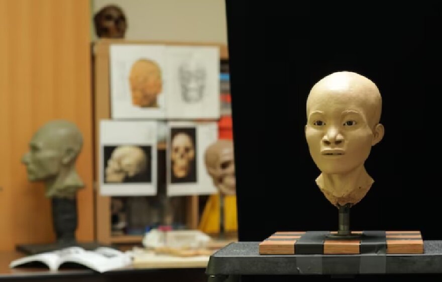 Люди пытались оживить лица древних умерших на протяжении тысячелетий, но современные технологии позволили сделать реконструкцию лица, как у коренной американской девочки-подростка, скелет которой был обнаружен в затопленной пещере на Юкатане.