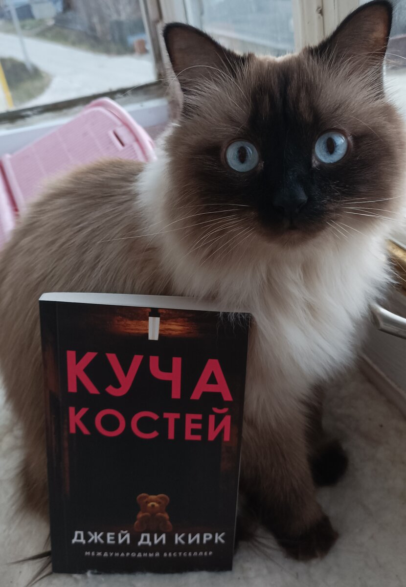 Сегодня читаемую книгу представляет Джессика на своем наблюдательном посту на балконе.