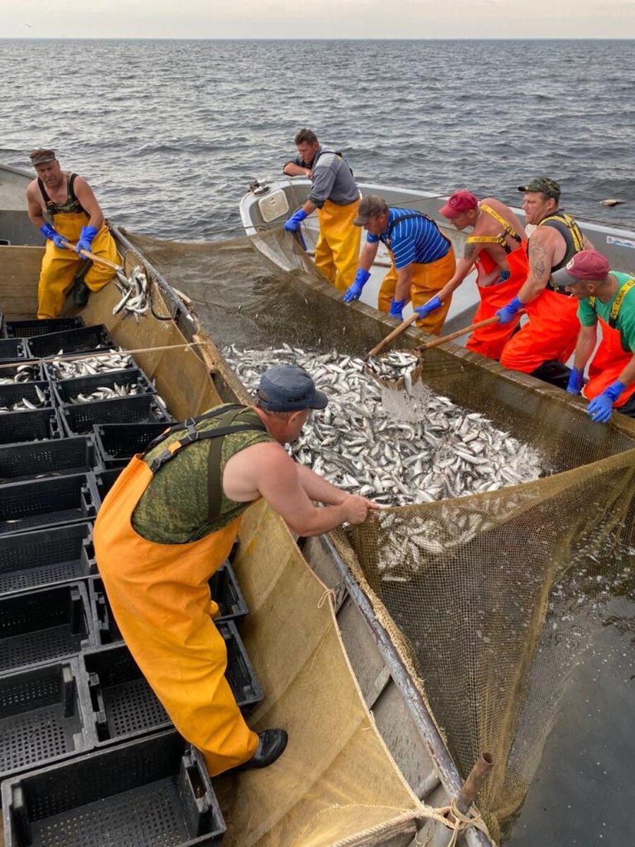 Фото Игоря Макеева / газета «Гдовская заря»
