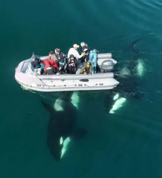 ��������� ���� �� ������ ������ ������� �������� ���� � ����������� ����� ���� ������ �� ������ �� ����� ������� ������ � �������� � ������ ��������, �� ���� ��� ����� ��������� ������ �������� ������-5