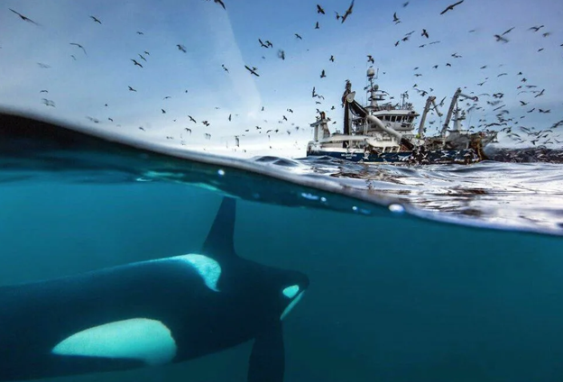 ��������� ���� �� ������ ������ ������� �������� ���� � ����������� ����� ���� ������ �� ������ �� ����� ������� ������ � �������� � ������ ��������, �� ���� ��� ����� ��������� ������ �������� ������-6