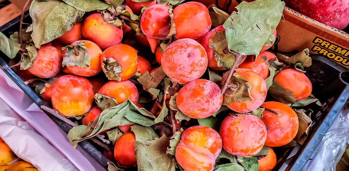 Фото Андрея Кудряшова / «Фергана»