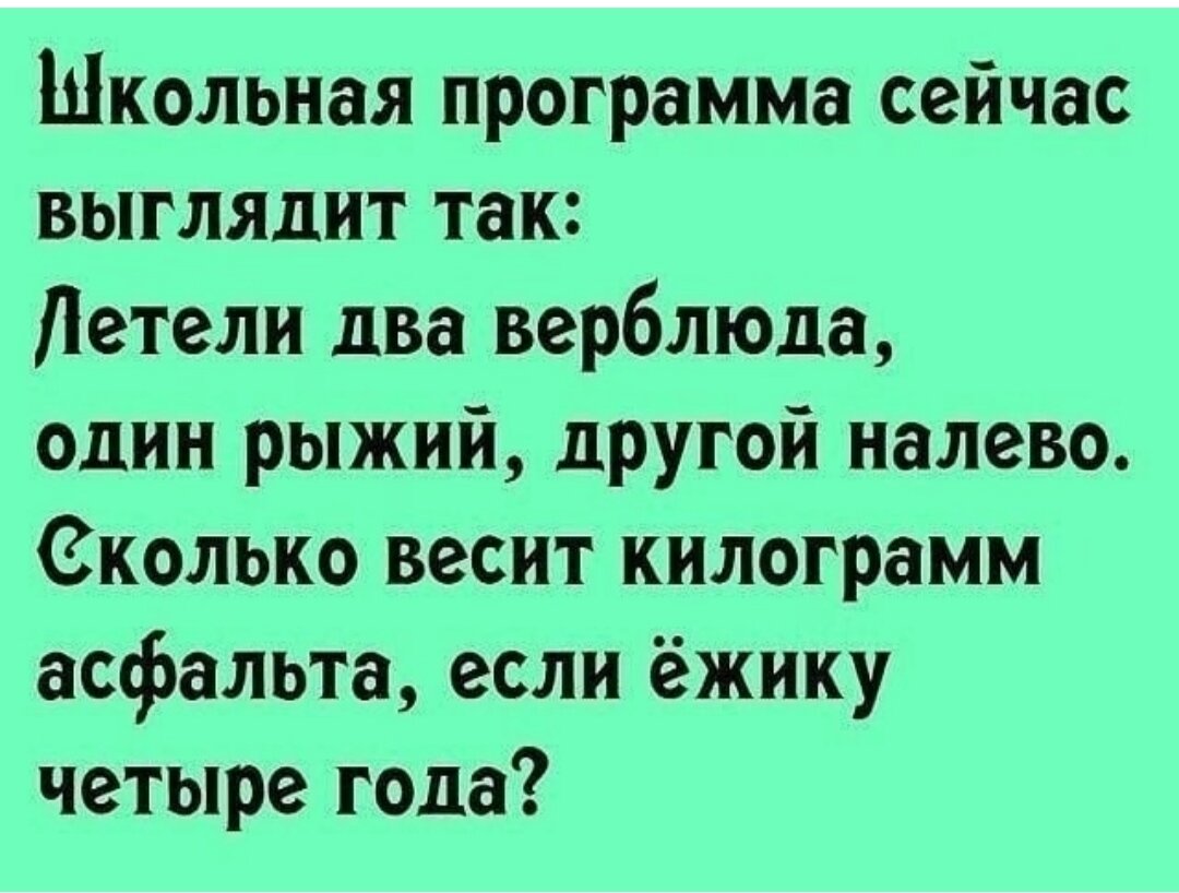 Анекдоты рыжего. Летели два верблюда один рыжий другой. Два верблюда один рыжий другой налево. Школьная программа летели два верблюда. Школьная программа летели два верблюда один рыжий.