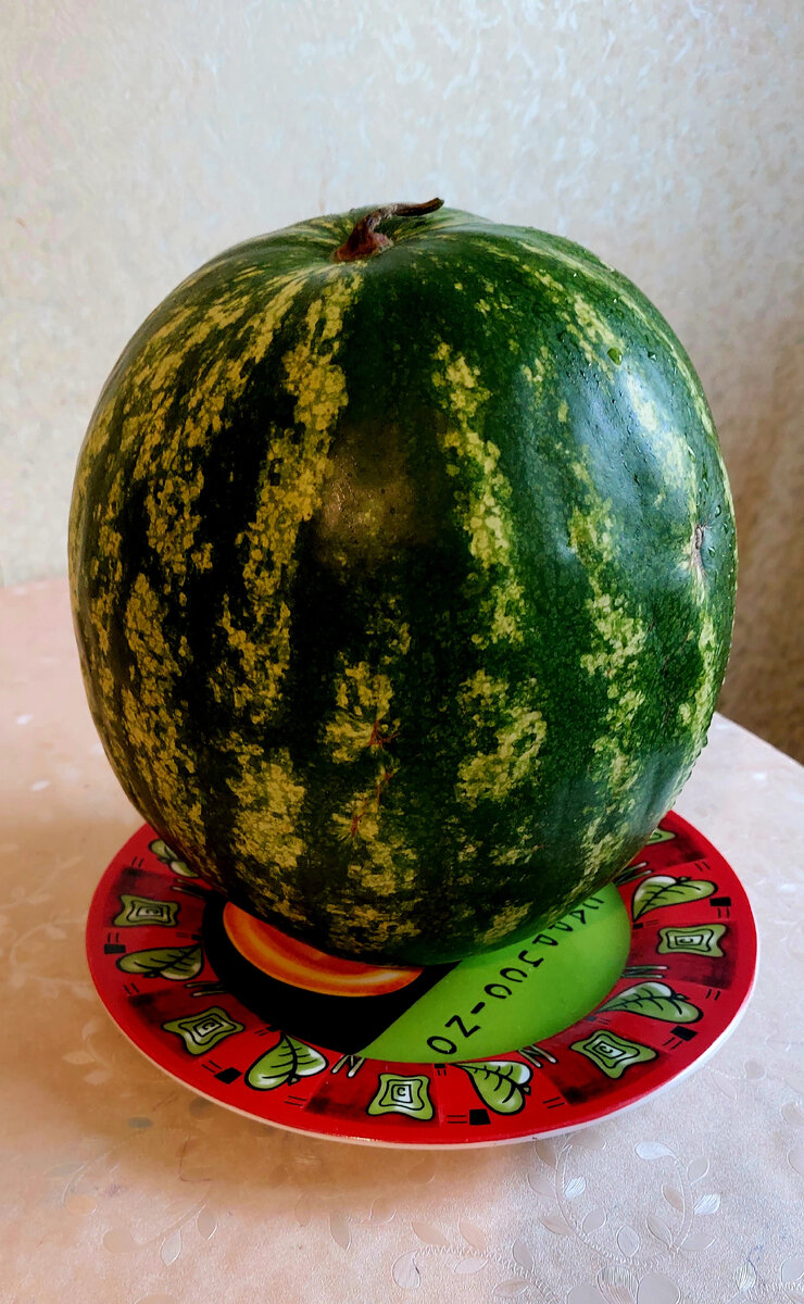 Вот такие арбузы мы едим всю осень.