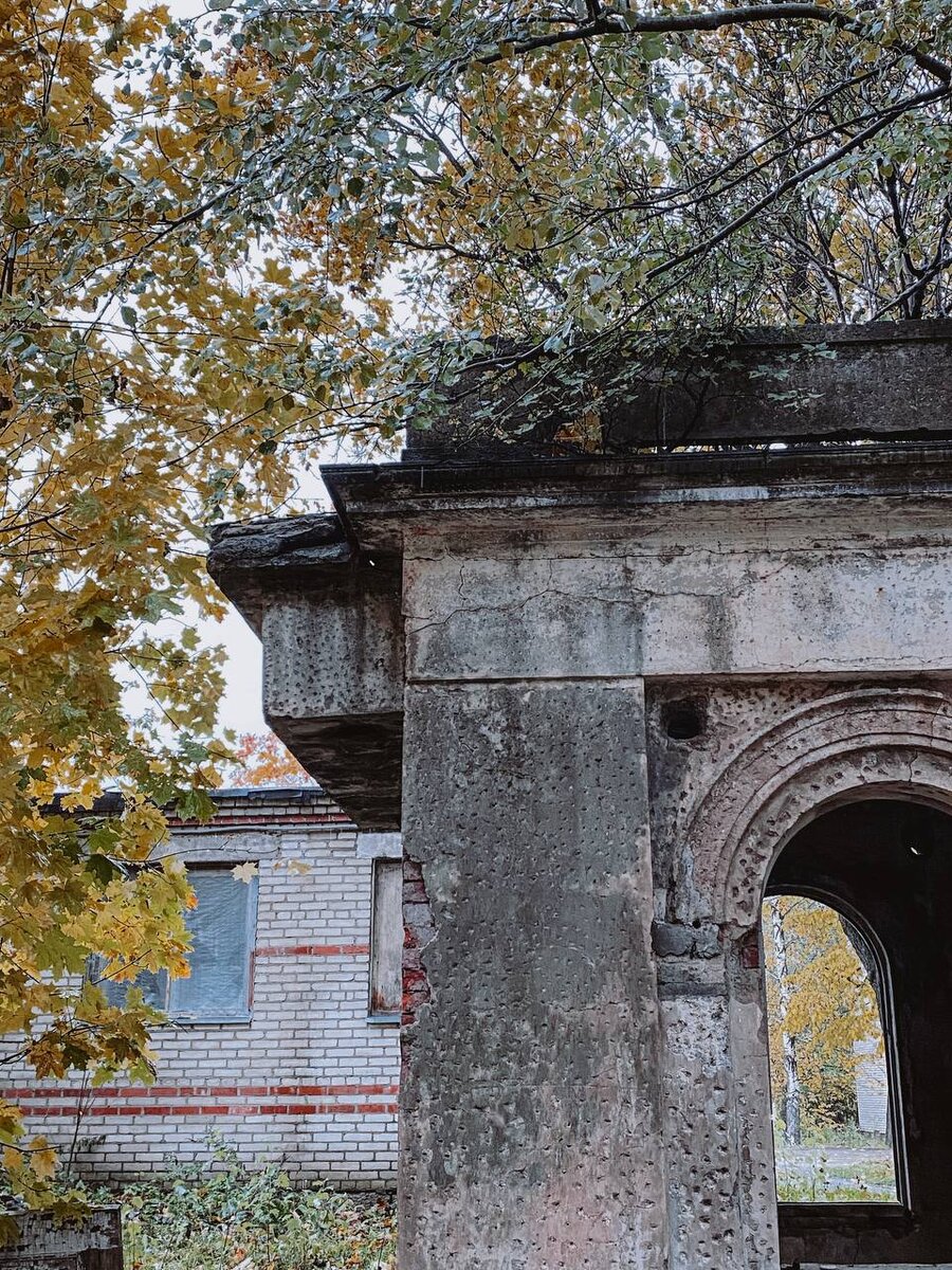 Фотографии за авторством Анастасии Рысь