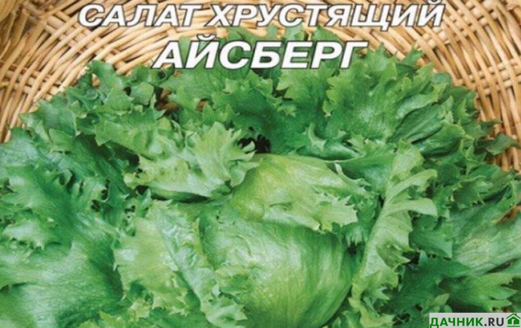 Тепличный салат