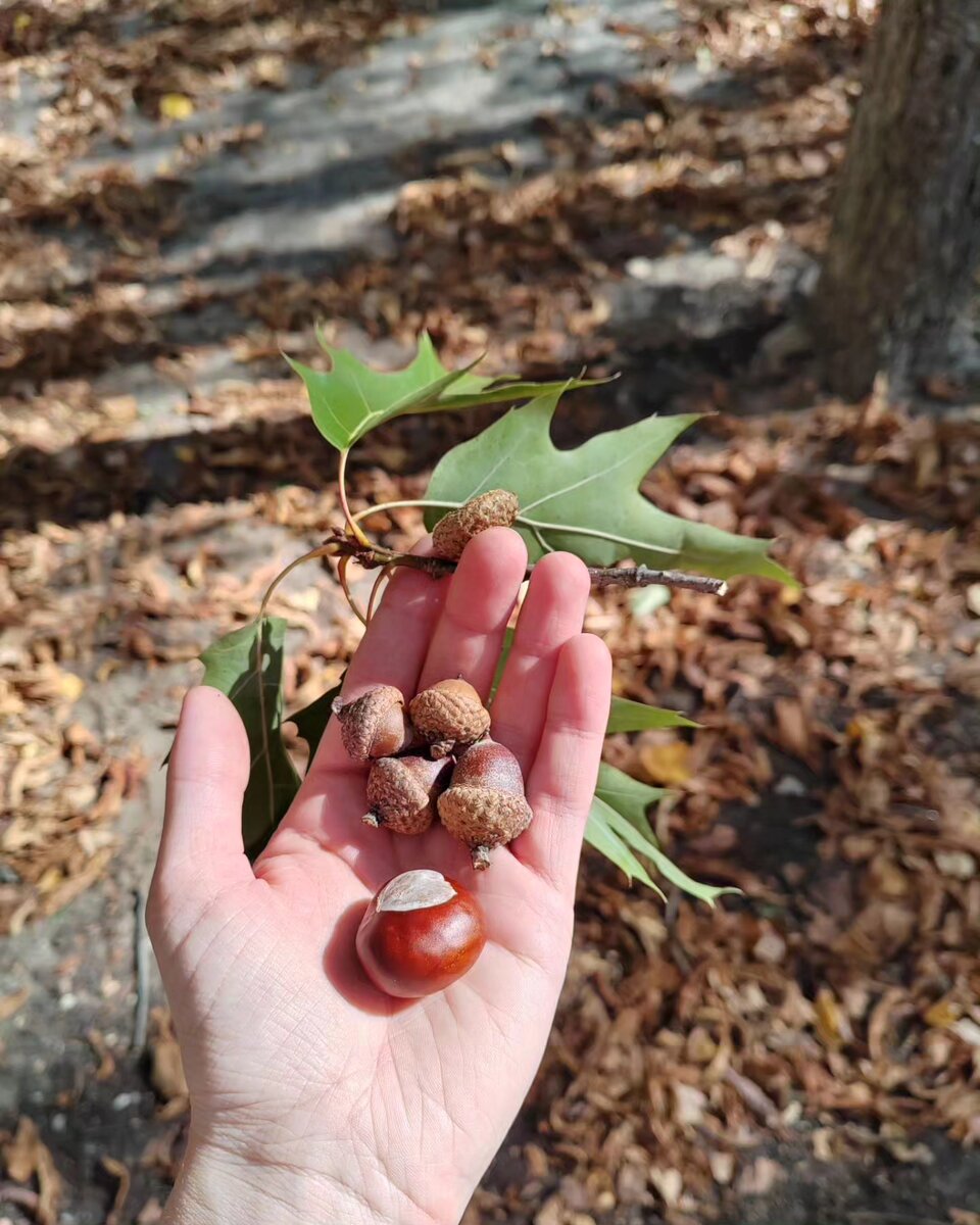 Фото сентября 2023