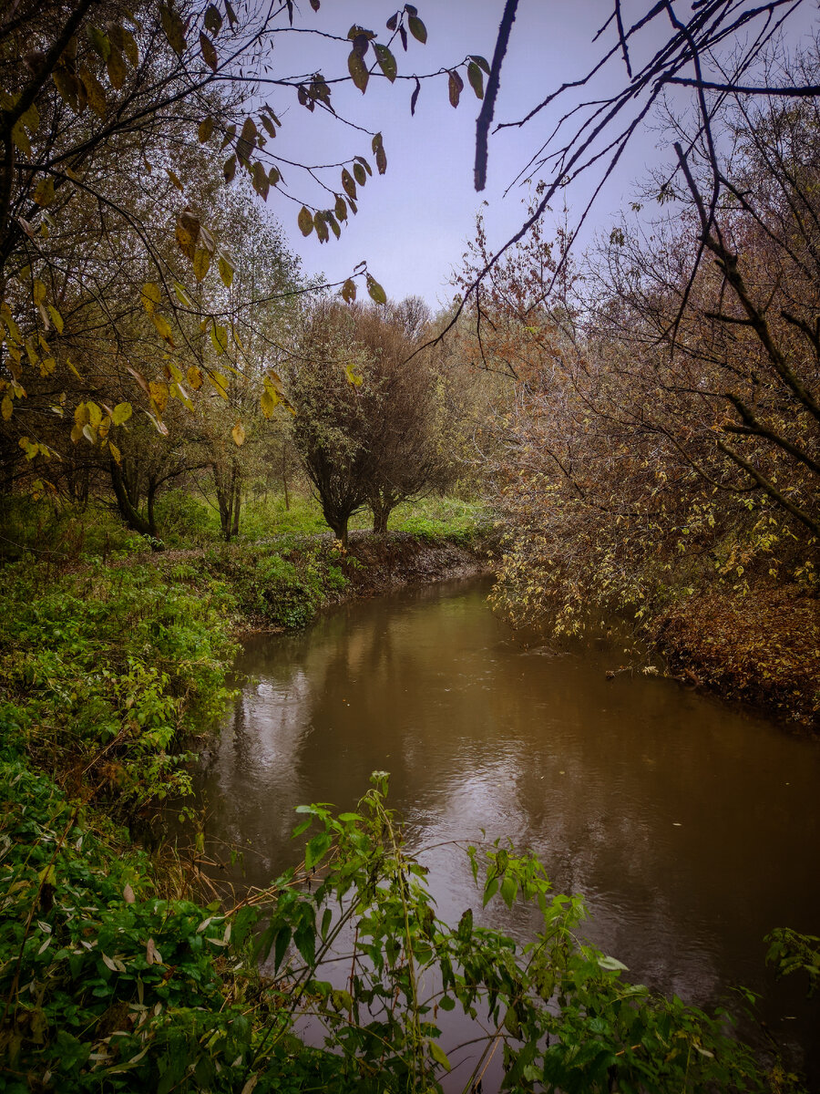 Река у дома