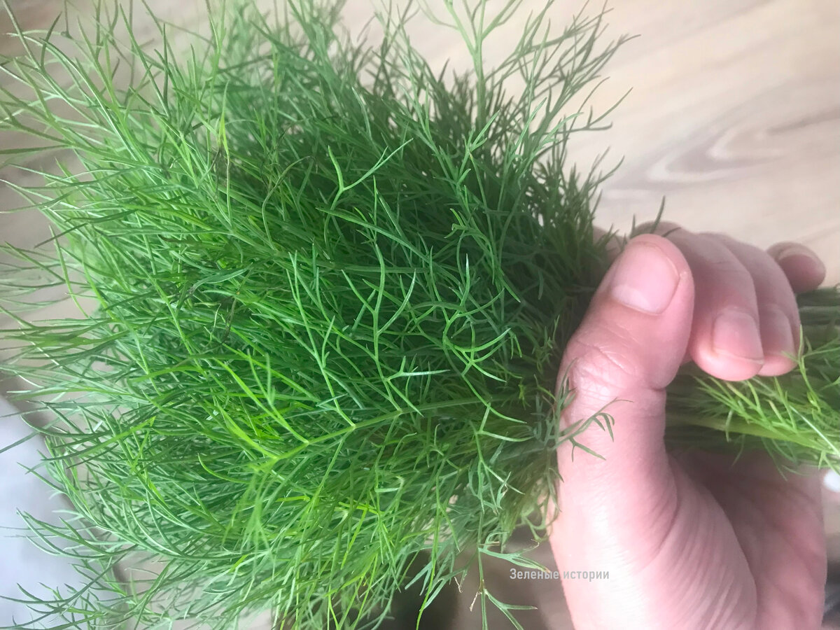 Домашний (прошлогодний)