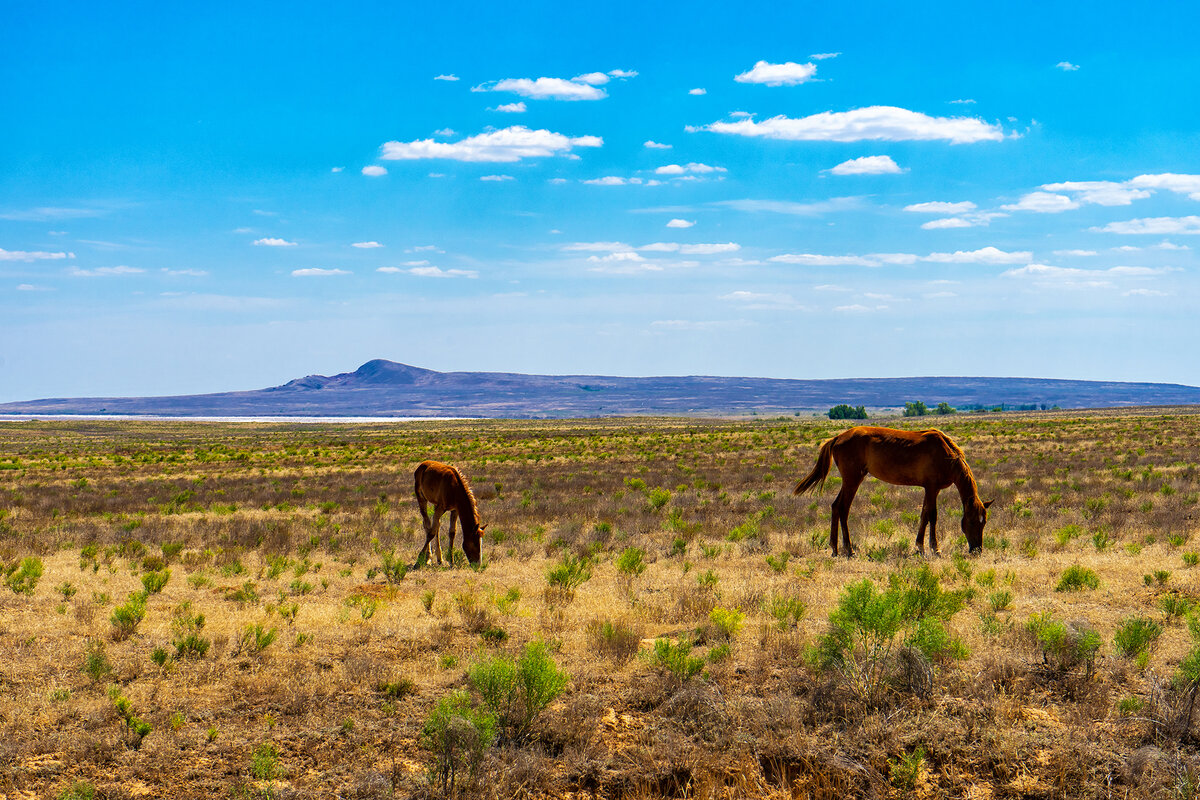 Вид на Богдинско-Баскунчакский заповедник по пути к нему