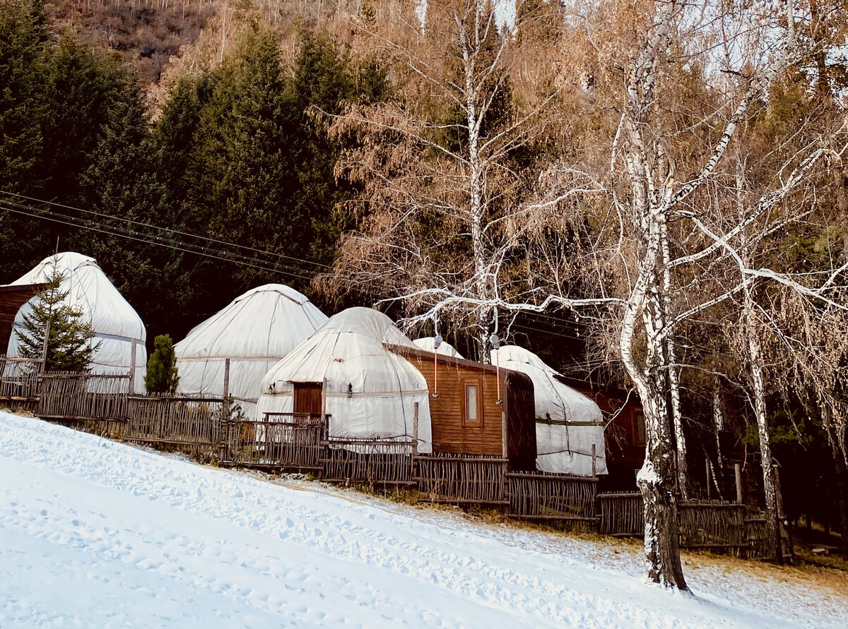 Юрты этно-отеля «Орман Аулы» в Oi Qaragai