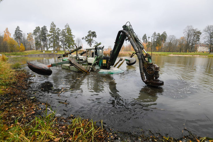 Фото: пресс-служба правительства Ленинградской области