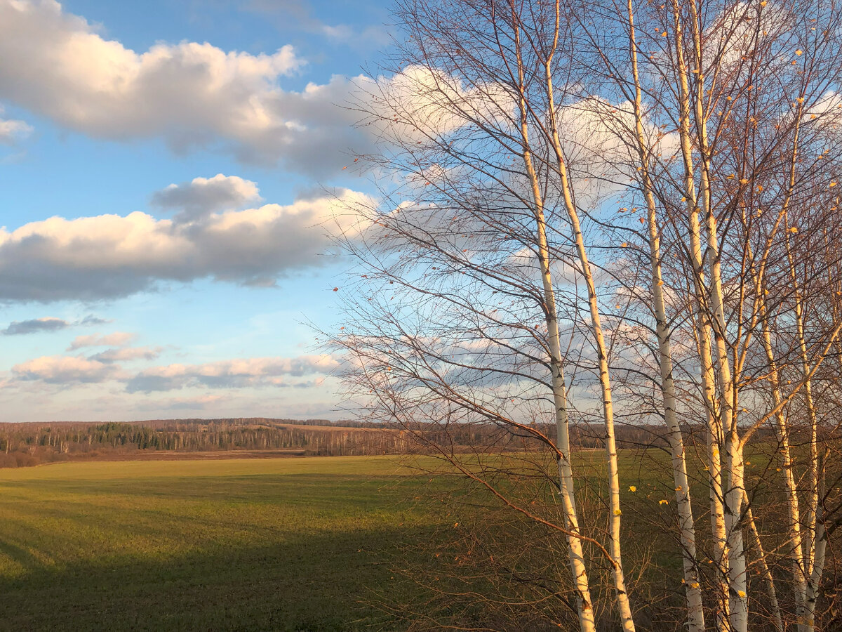 Успеть до зимы