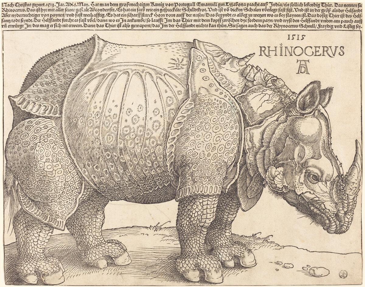 Albrecht_Dürer,_The_Rhinoceros,_1515