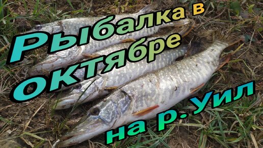 ИДЕАЛЬНАЯ СКРУТКА! Поводок Скрутка Своими Руками