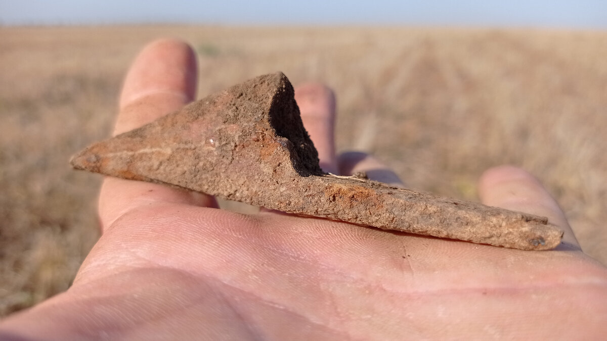 Фрагмент бивня мамонта, на фоне того самого поля. 🤣