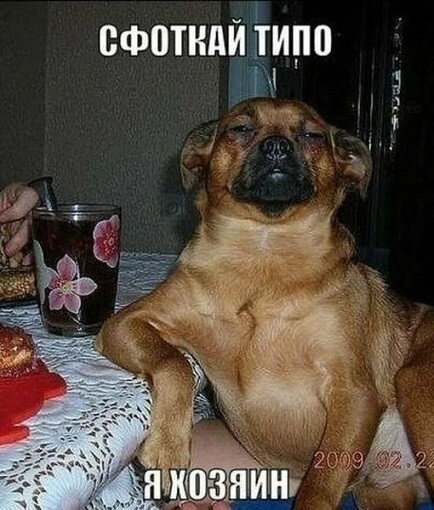 Ну ты точно хозяин...