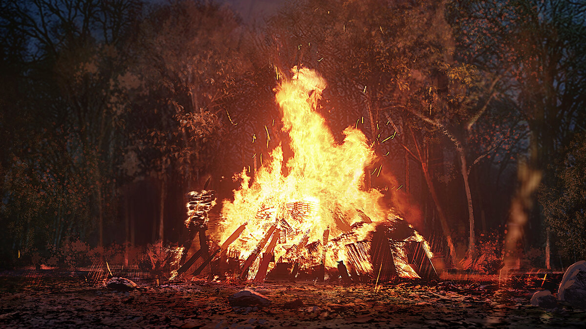 фото из интернета