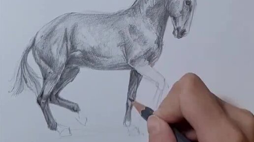 Кони на Ладони | Рисуем лошадей породы лузитано по уровням | Дзен