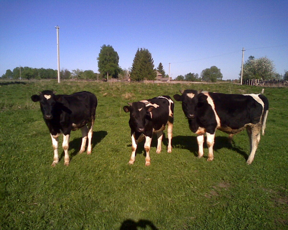 Фото из архива автора