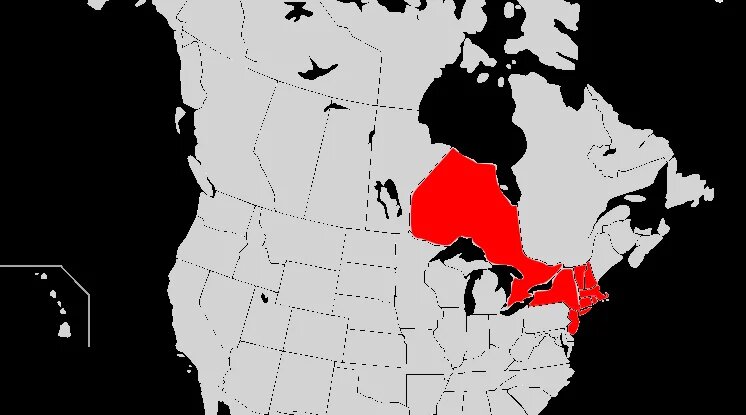 Карта штатов с территориями, пострадавшими от отключения электроэнергии на северо-востоке 1965 года.