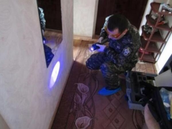 Источник фото: СУ СК по Ростовской области