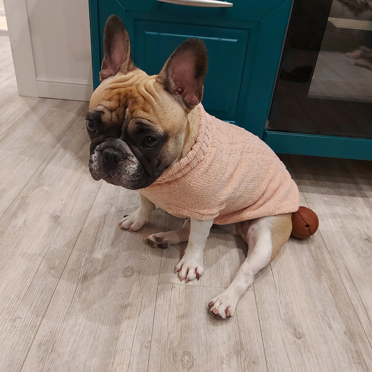 В обновке. Ну и вообще, здесь булочки уже 2 недели не было, мне кажется, надо восполнять.