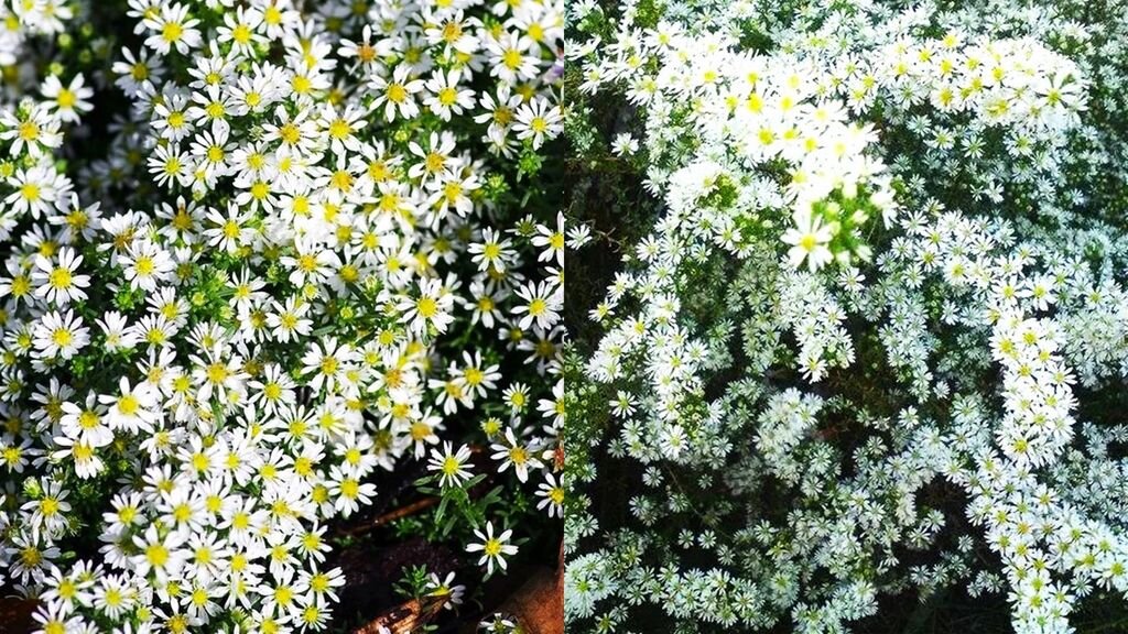 Листайте галерею для просмотра.