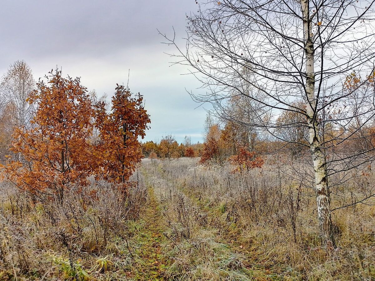 А еще прогулки это релакс