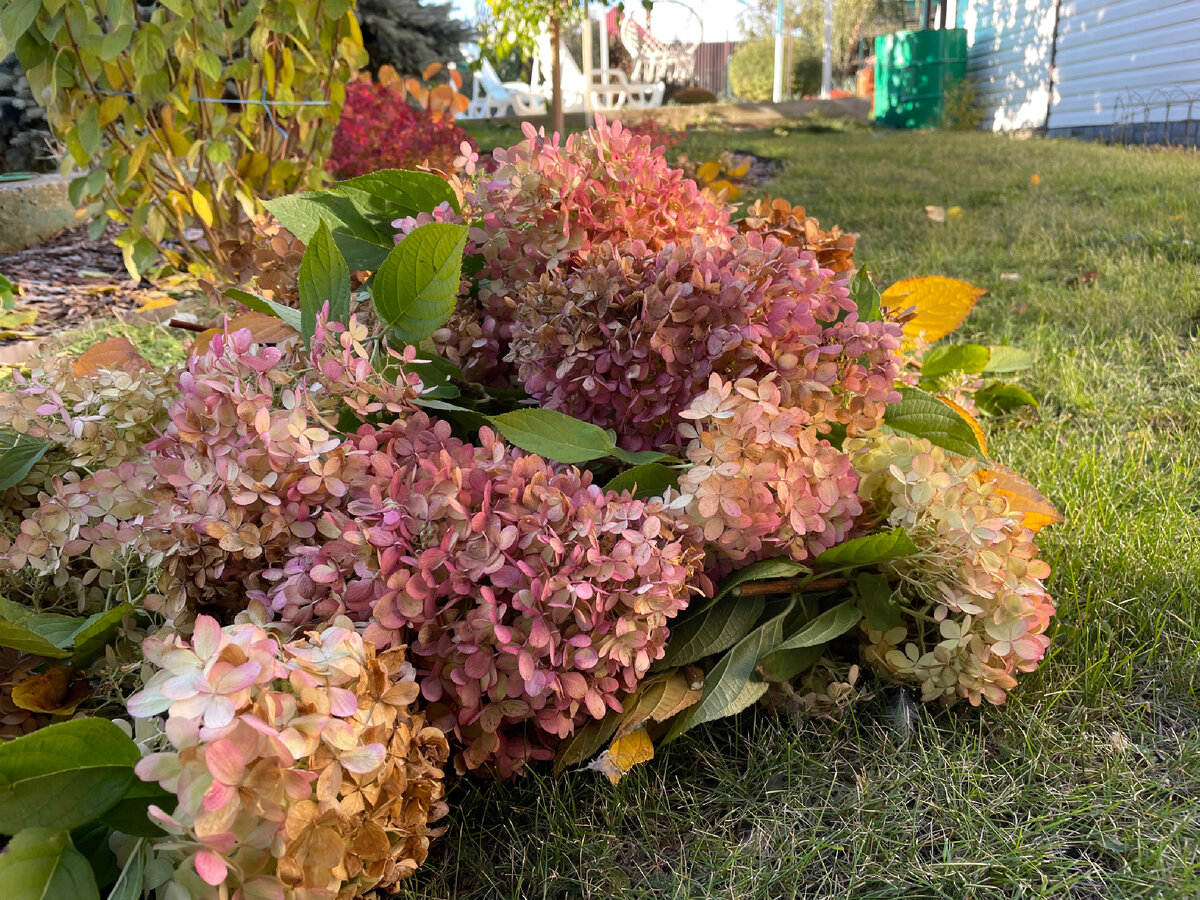 Срезать было жалко…