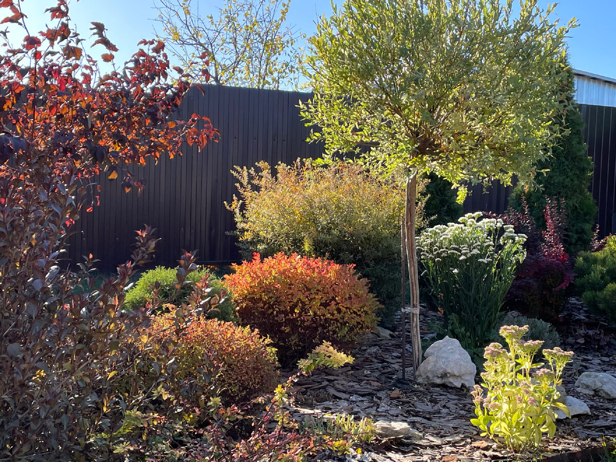 22 октября, воскресенье в саду.