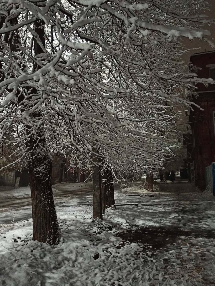 Снег