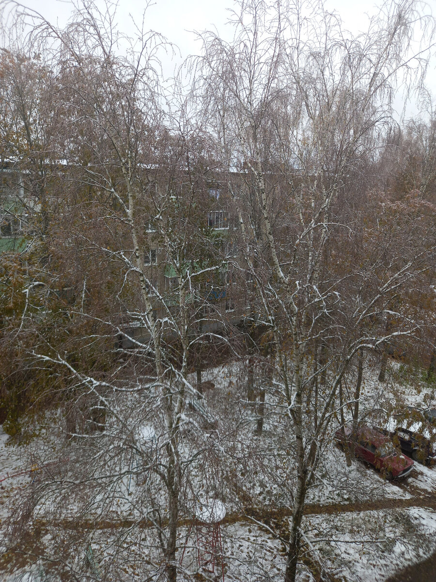 Фото автора канала. Ледяная красота