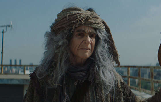 Фото взято из общего доступа в интернете.