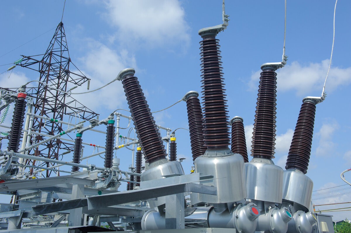 Фото: мэрия Краснодара 