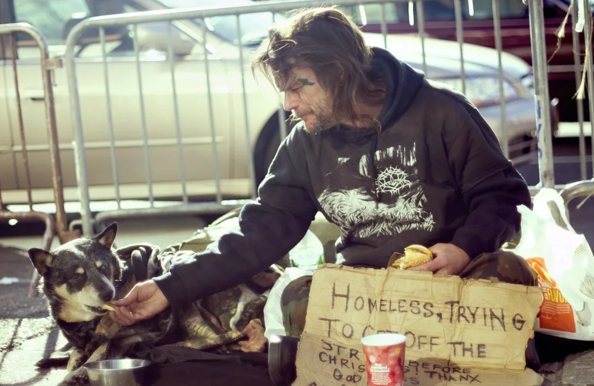 Ann was bitten by a homeless dog. Бездомные собаки.