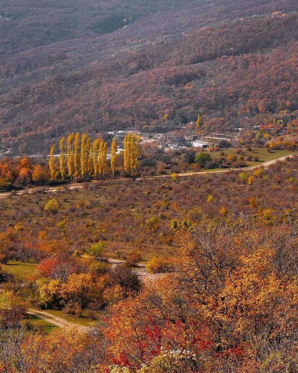 Лесной алушта